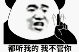国际欠款怎么催收？全方位攻略助您高效追回款项