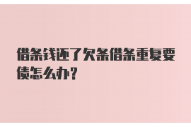 辰溪催收公司电话号码查询